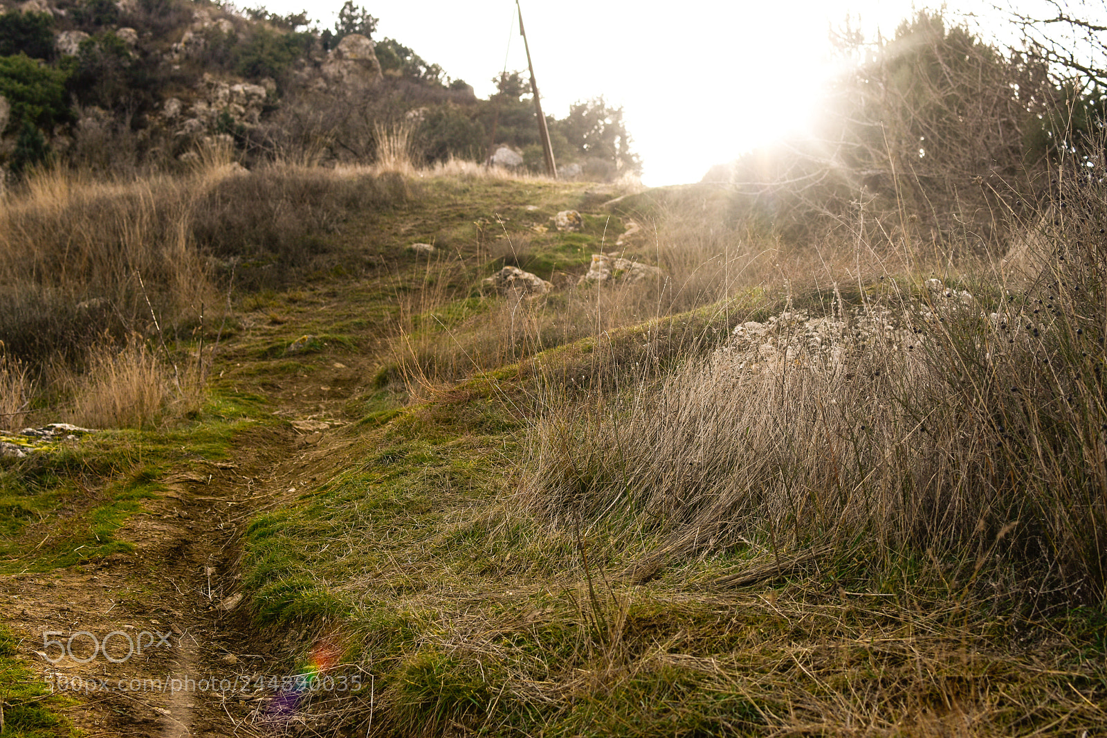 Nikon D5500 sample photo. Psx_20180204_012153.jpg photography