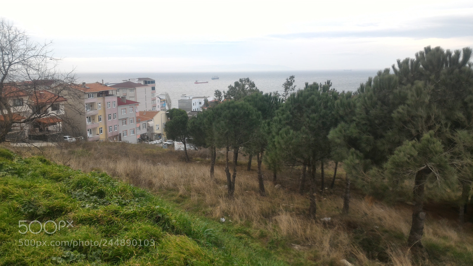 ASUS ZenFone 2 (ZE551ML) sample photo. Untitled photography