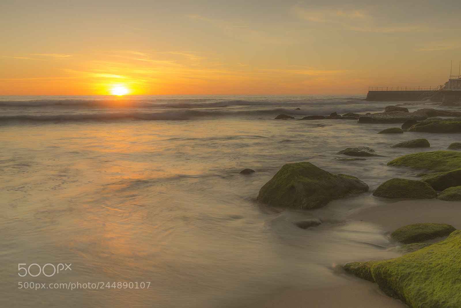 Nikon D810 sample photo. Bondi sunrise photography