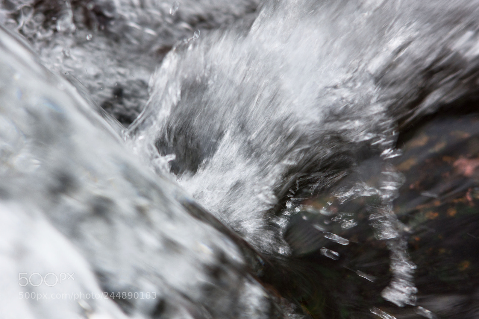 Nikon D7200 sample photo. Untitled photography