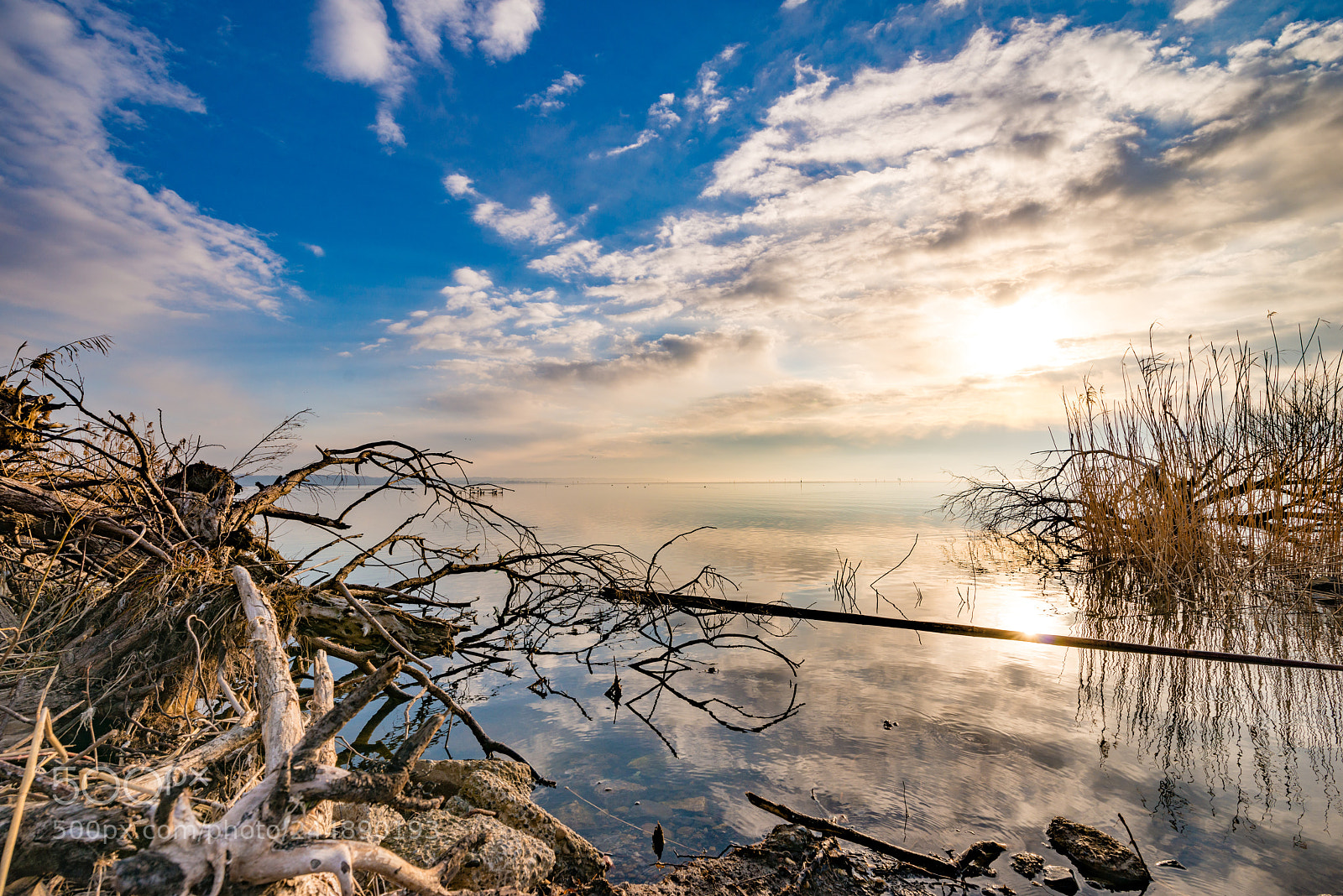 Nikon D800 sample photo. Lakeside photography