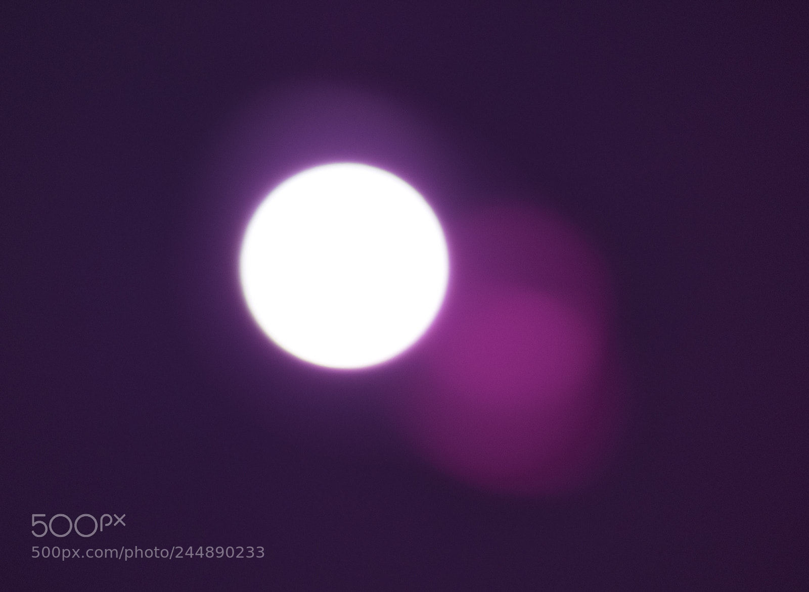 Nikon D3400 sample photo. Capturing the ultra violet photography