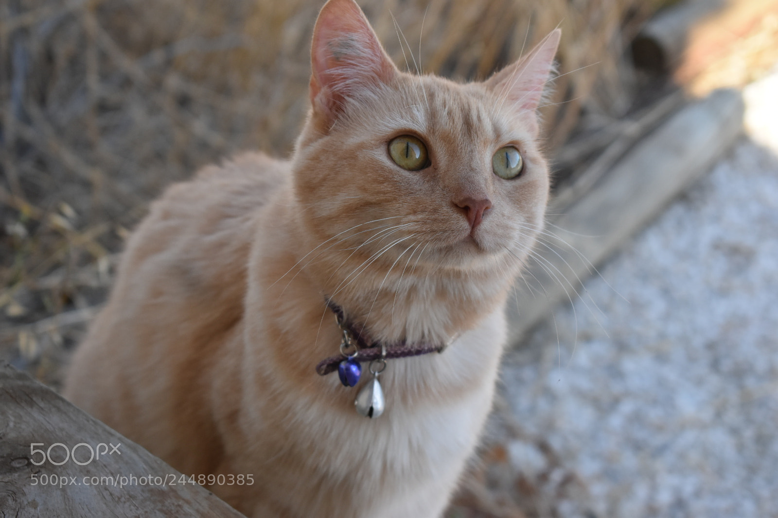 Nikon D5600 sample photo. Things are looking up photography