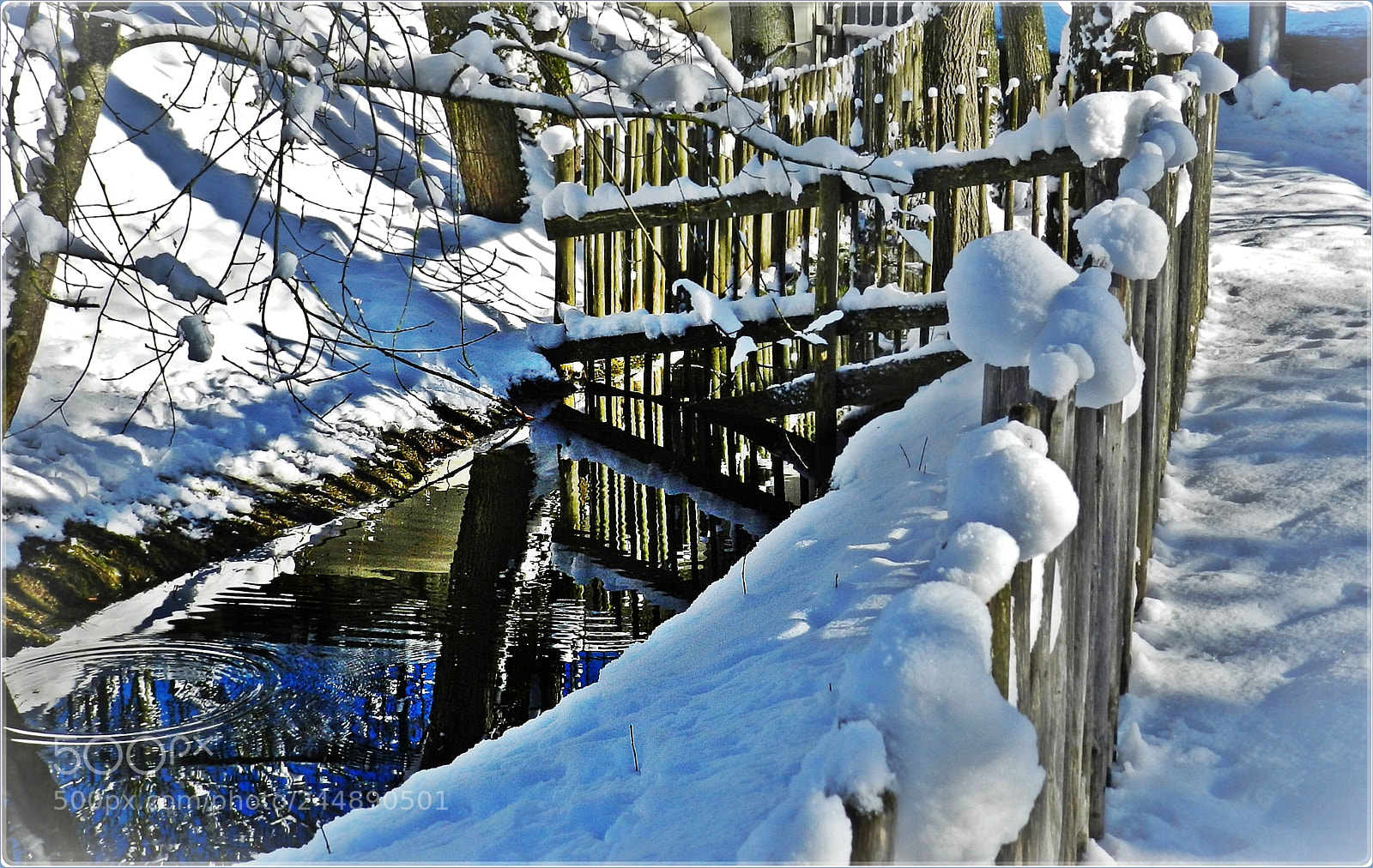 Nikon Coolpix P500 sample photo. Wooden fence in the photography