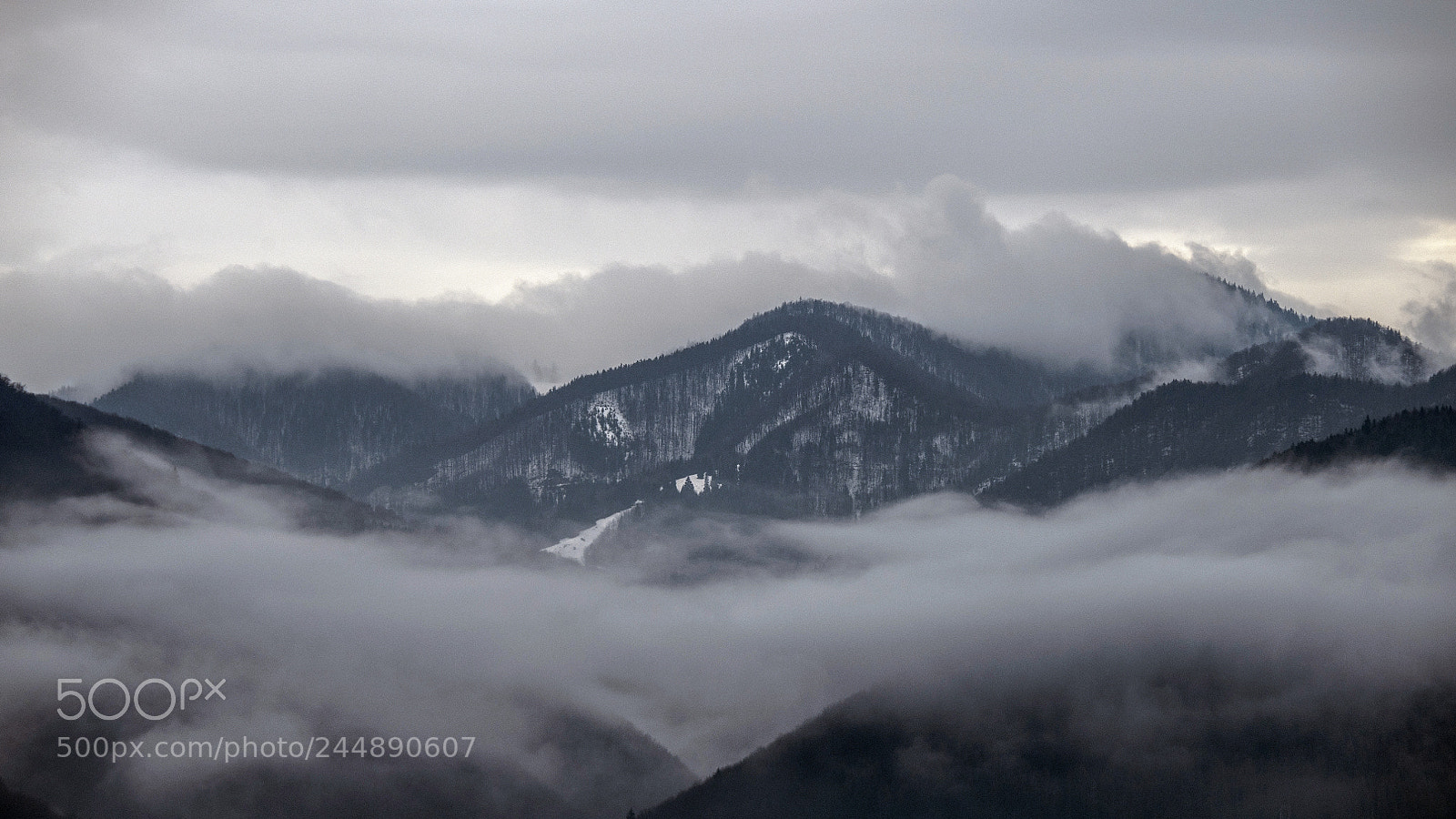 Nikon D850 sample photo. Floating fog photography