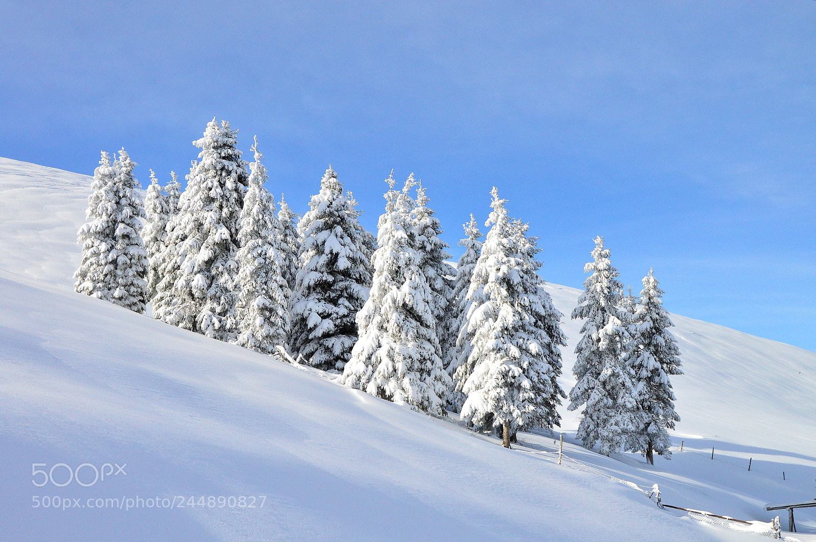 Nikon D3200 sample photo. Cielo azzurro photography
