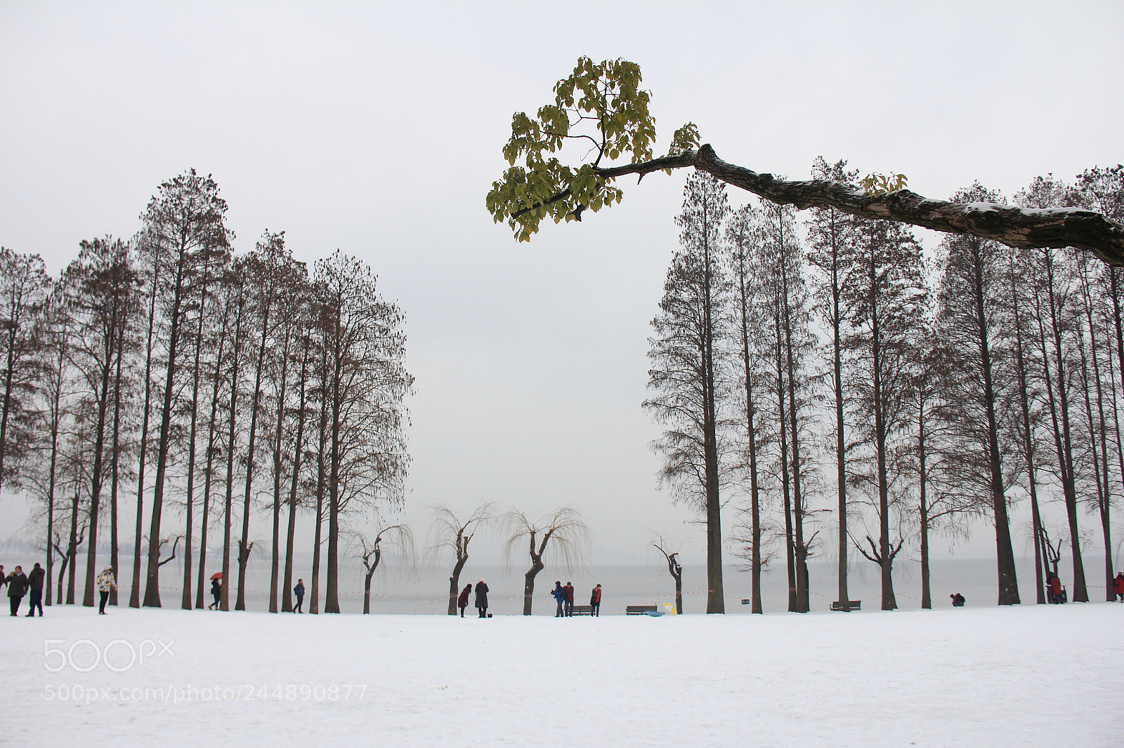 Canon EOS 60D sample photo. Untitled photography