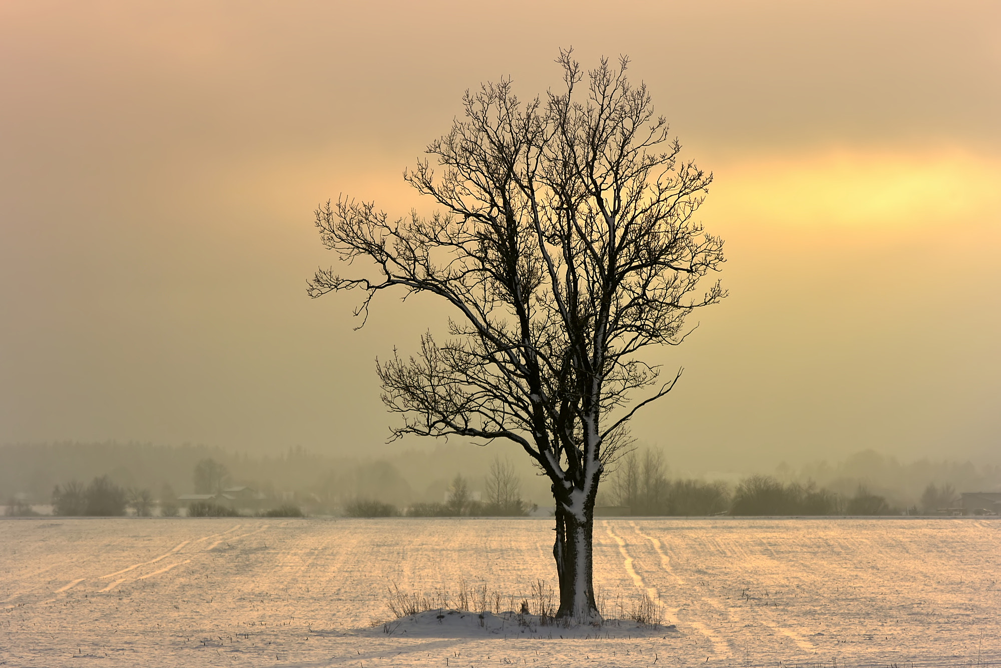 Nikon D3400 sample photo. * * * winter * * * photography
