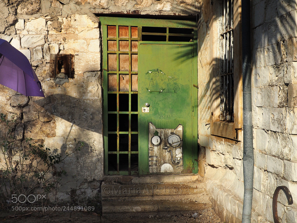 Olympus OM-D E-M5 II sample photo. Violet umbrella, green door photography