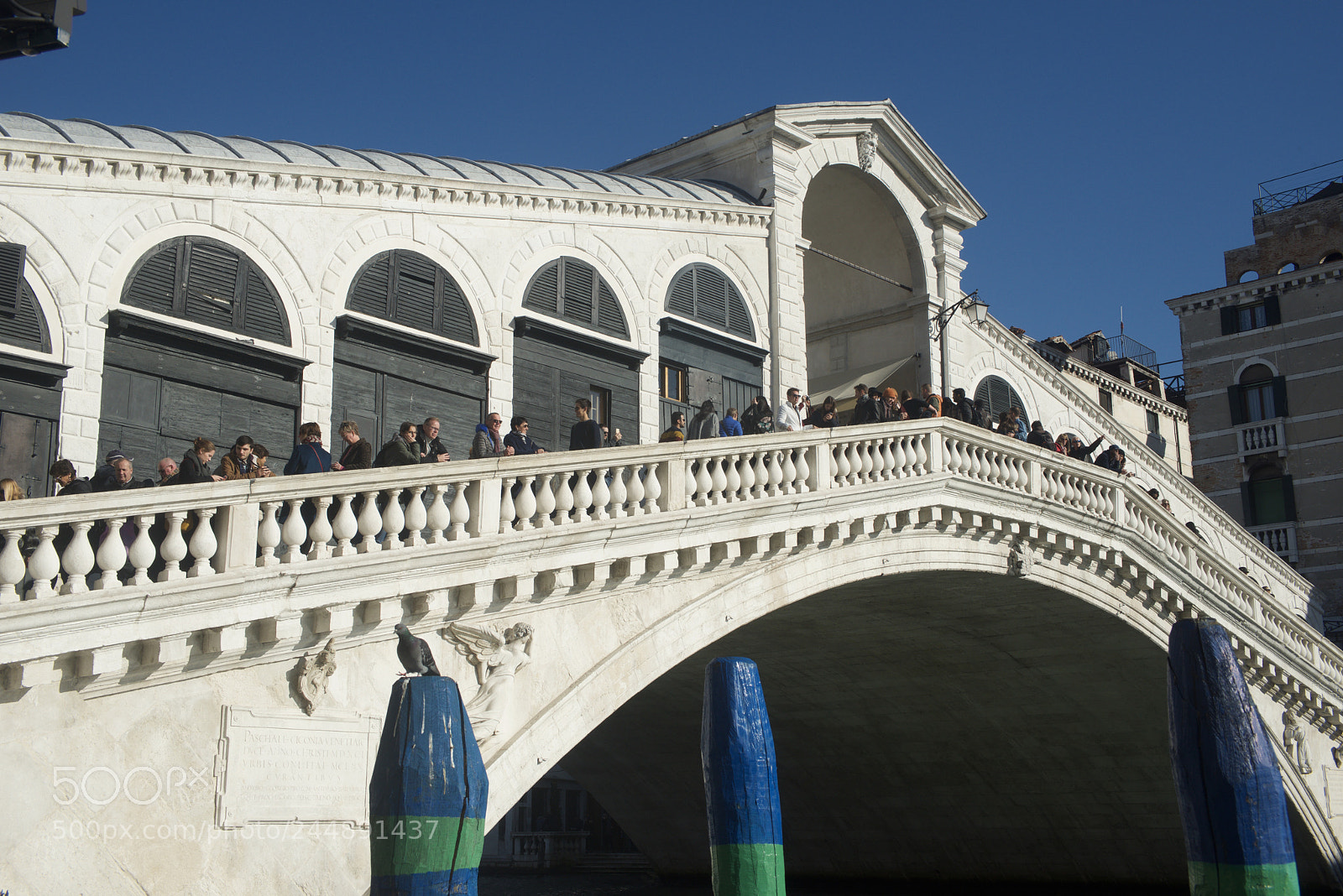 Nikon D800 sample photo. Rialto bridge photography