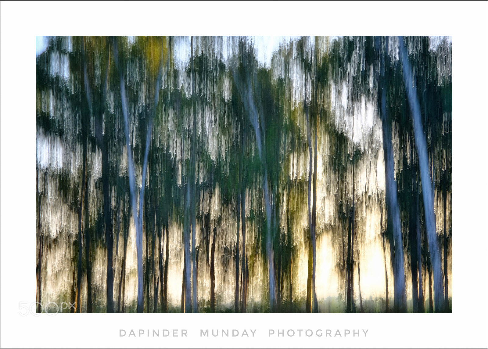 Fujifilm X-T2 sample photo. The lens canvas... photography