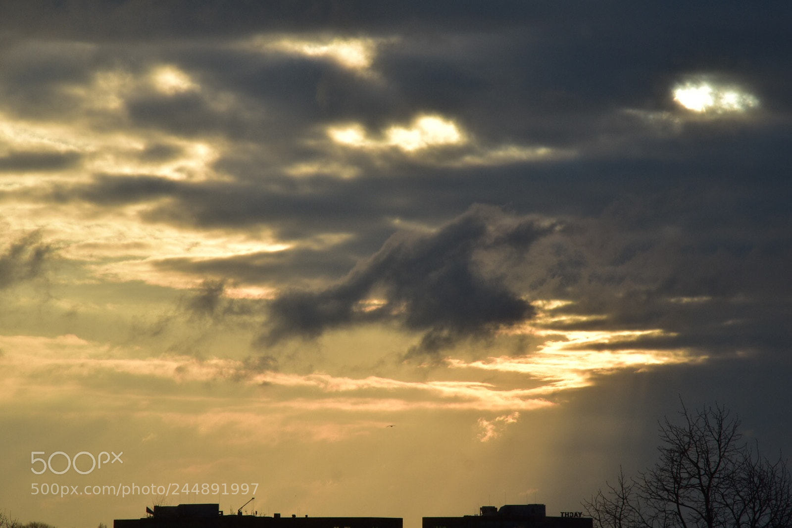 Nikon D5500 sample photo. Morning snow sky? photography