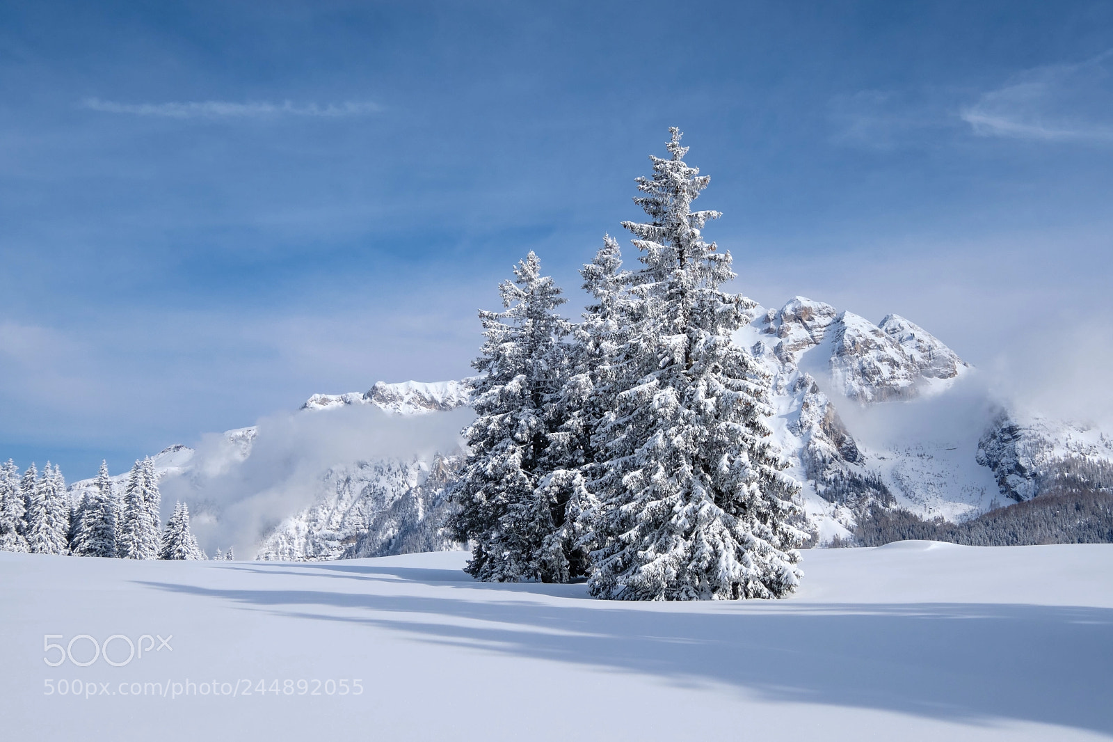 Fujifilm X-T2 sample photo. Winter wonderland - madonna photography