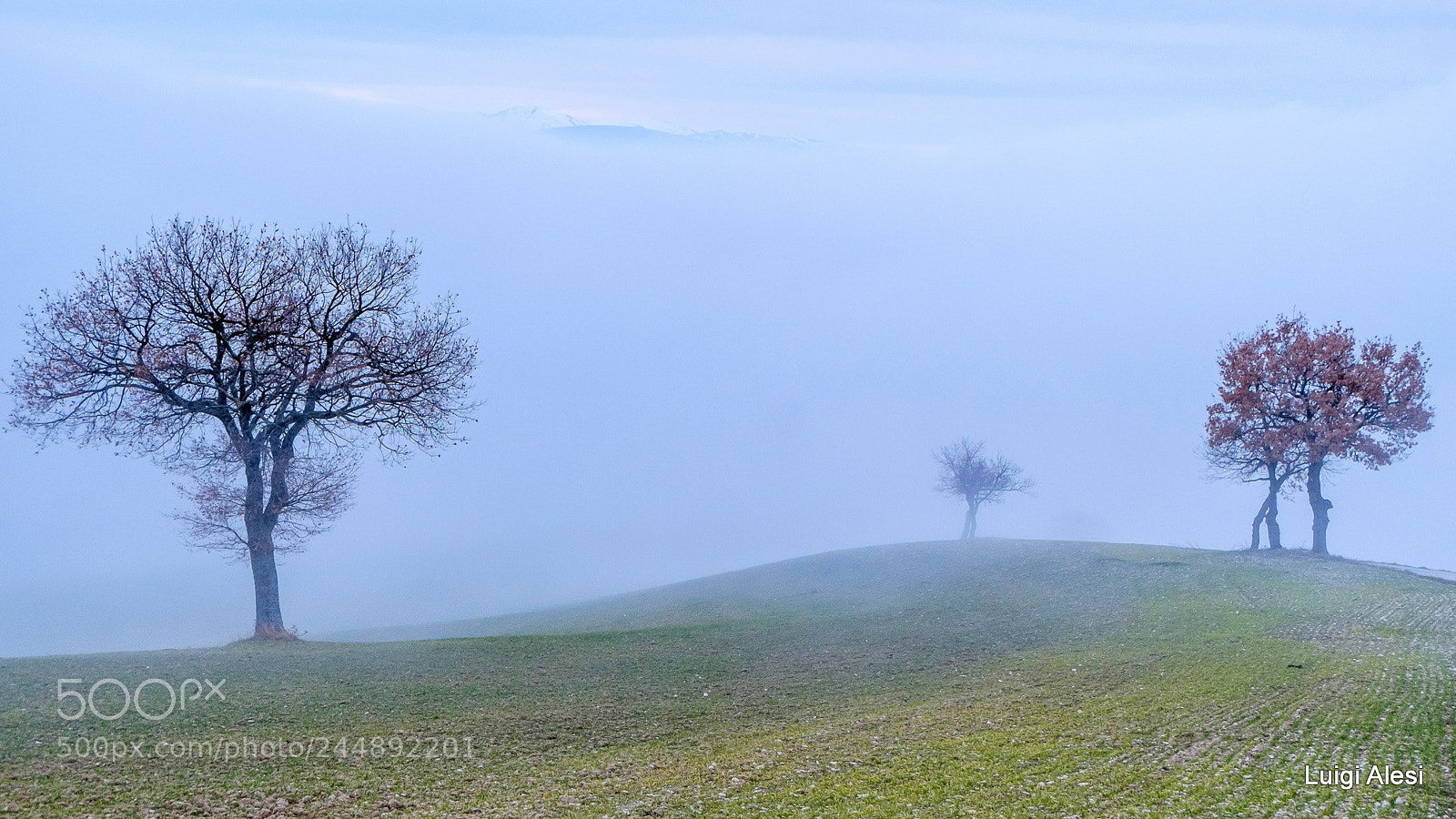 Fujifilm X-M1 sample photo. Campagna di san severino photography