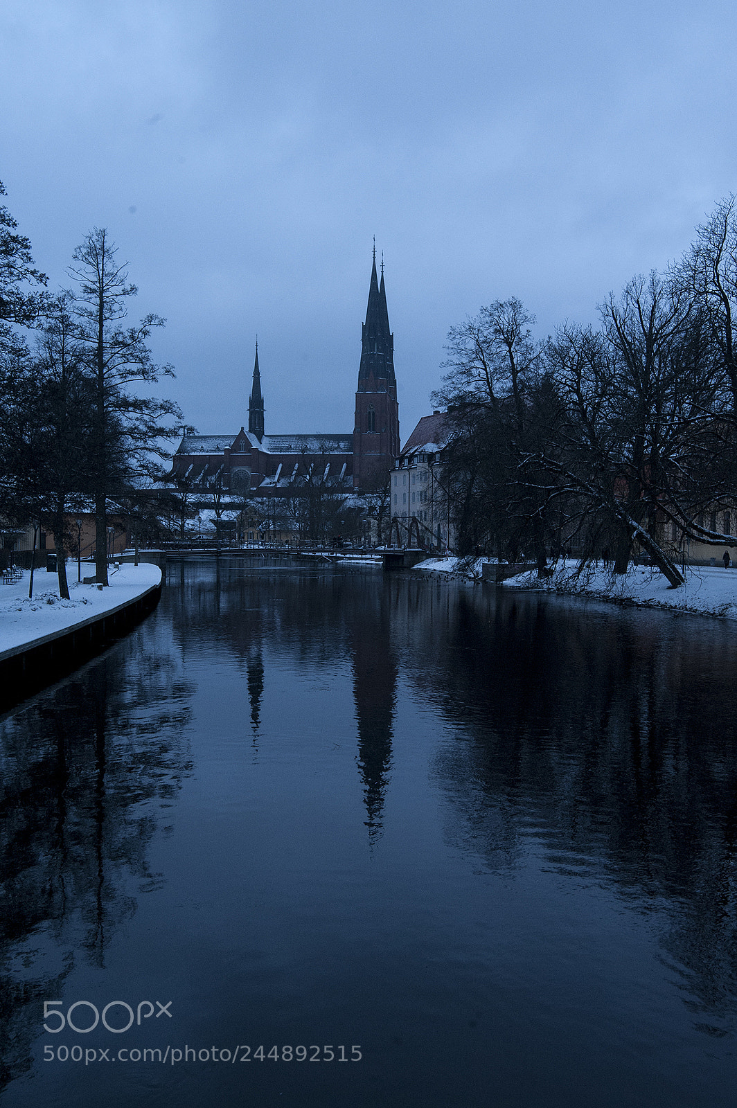 Nikon D700 sample photo. A bridge over troubled photography