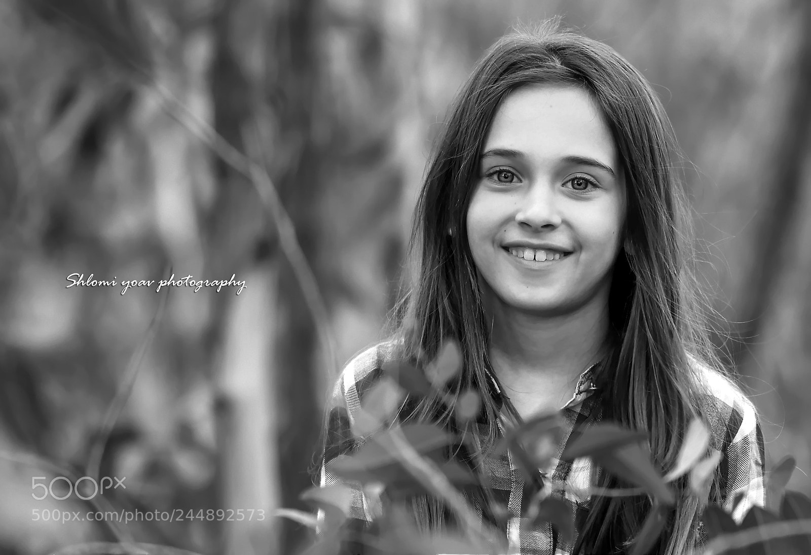 Nikon D500 sample photo. Shlomi yoav photography