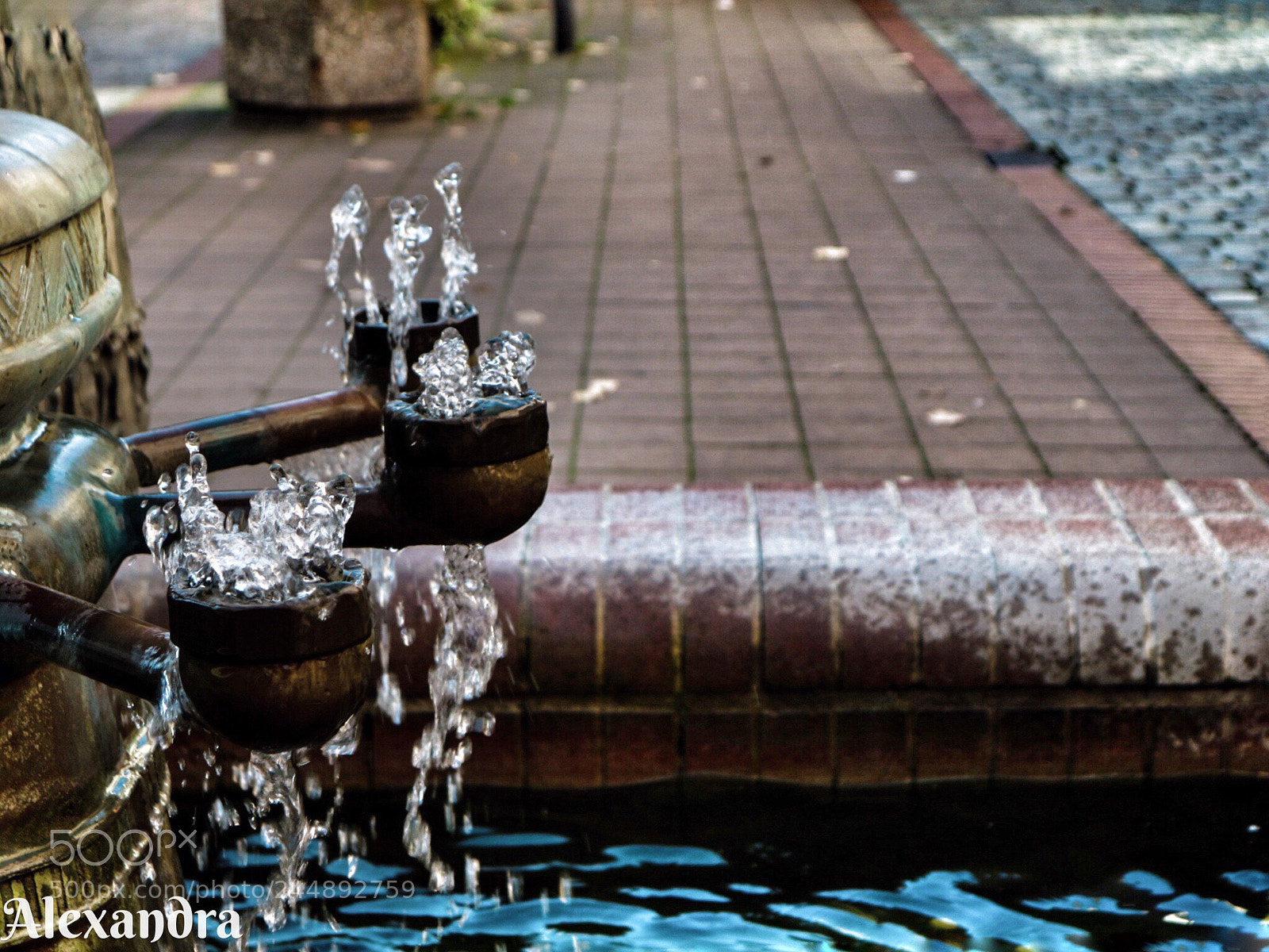 Canon EOS M10 sample photo. Untitled photography