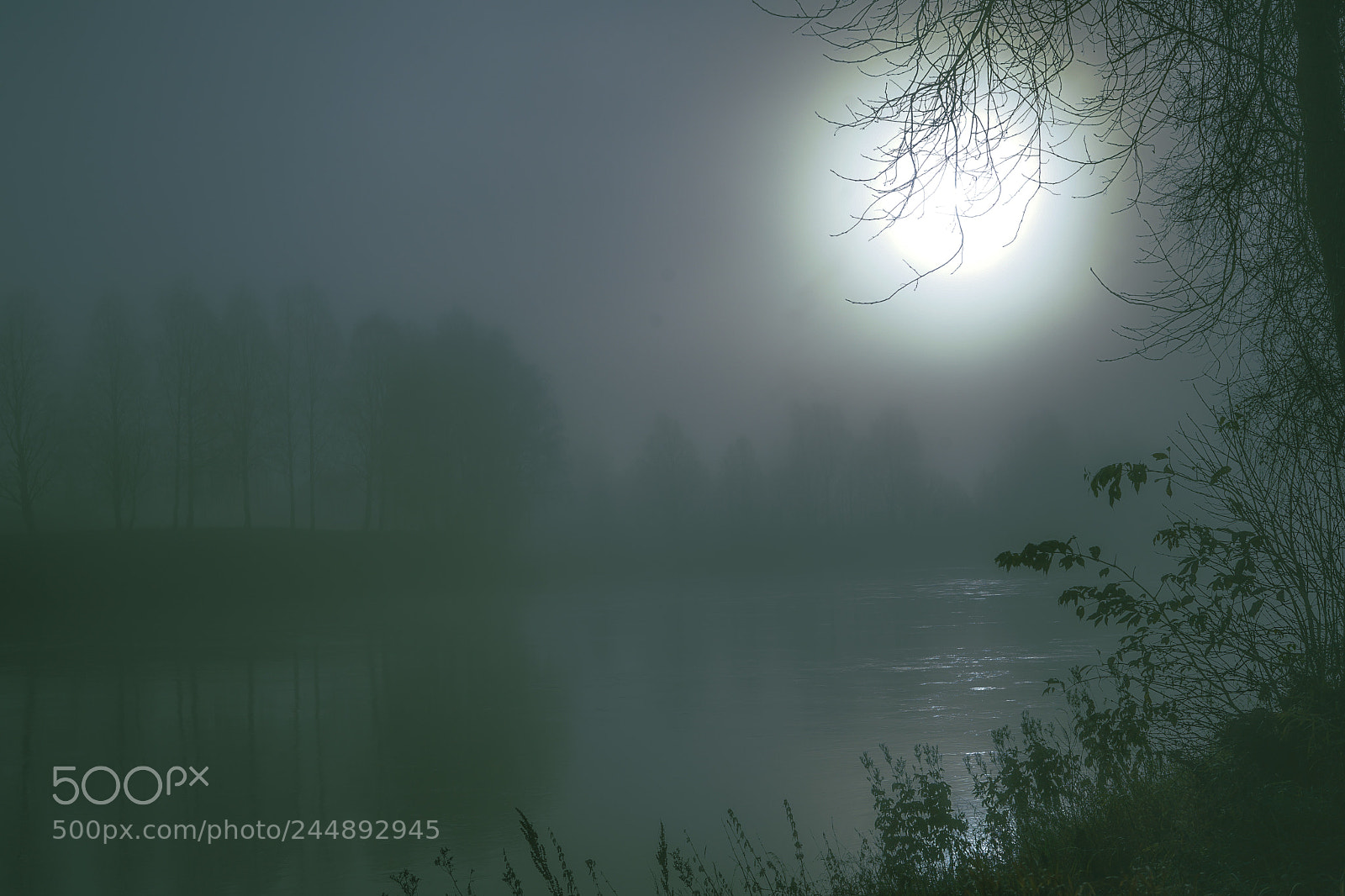 Sony a7 II sample photo. River in the fog photography
