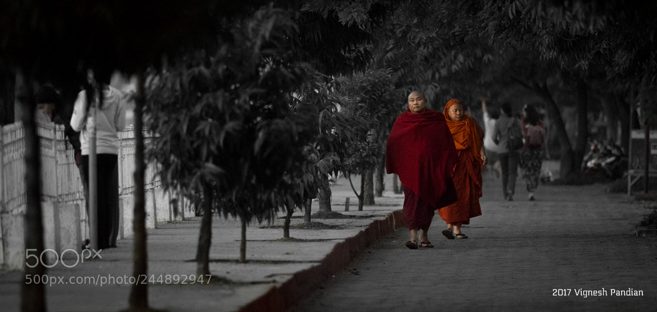 Nikon D800 sample photo. Monk's state separate from photography