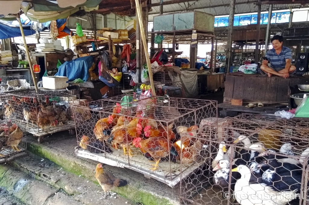 DSCF4974 by www.fretensonja.nl on 500px.com