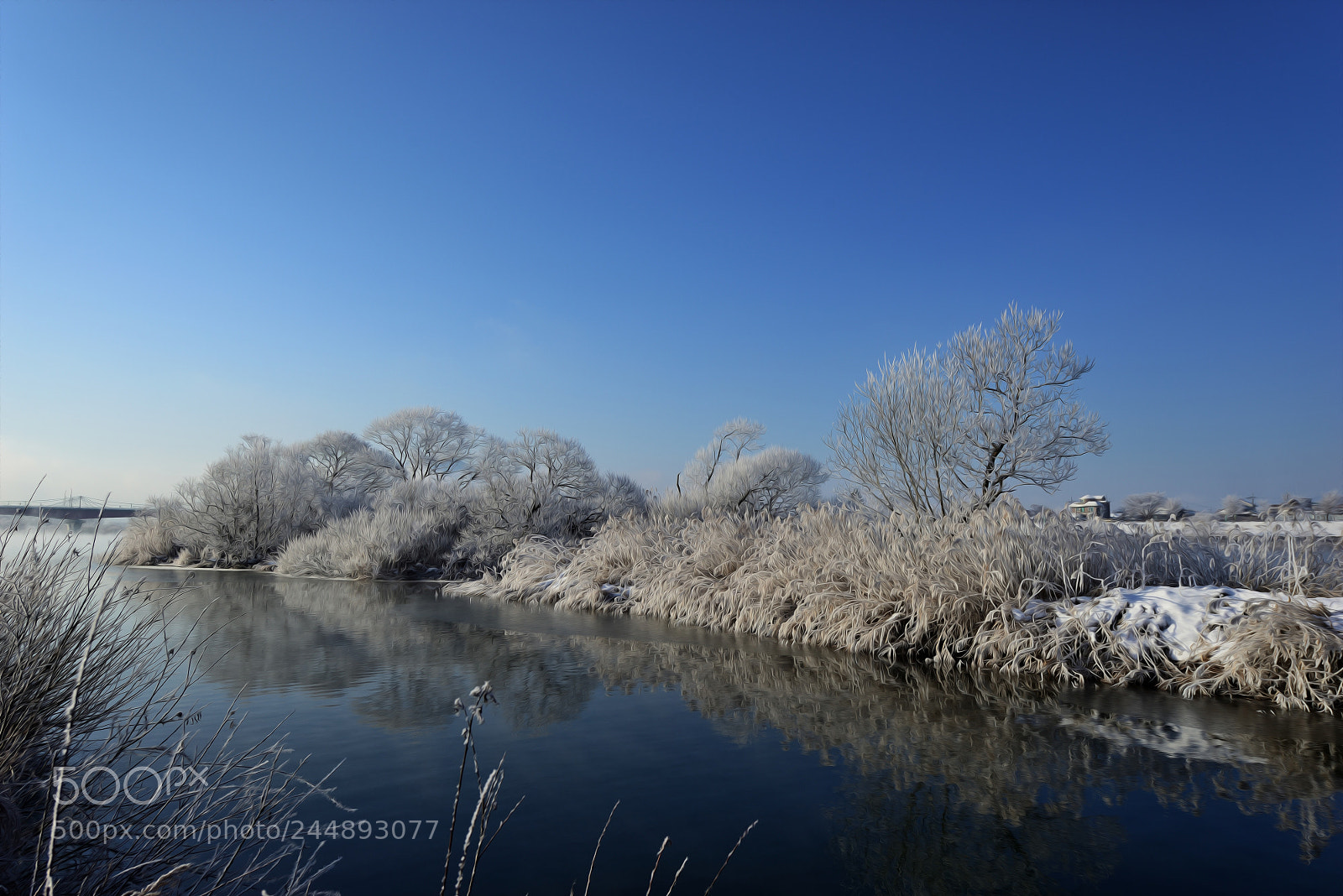 Nikon D800 sample photo. Kcj_9214-1.jpg photography
