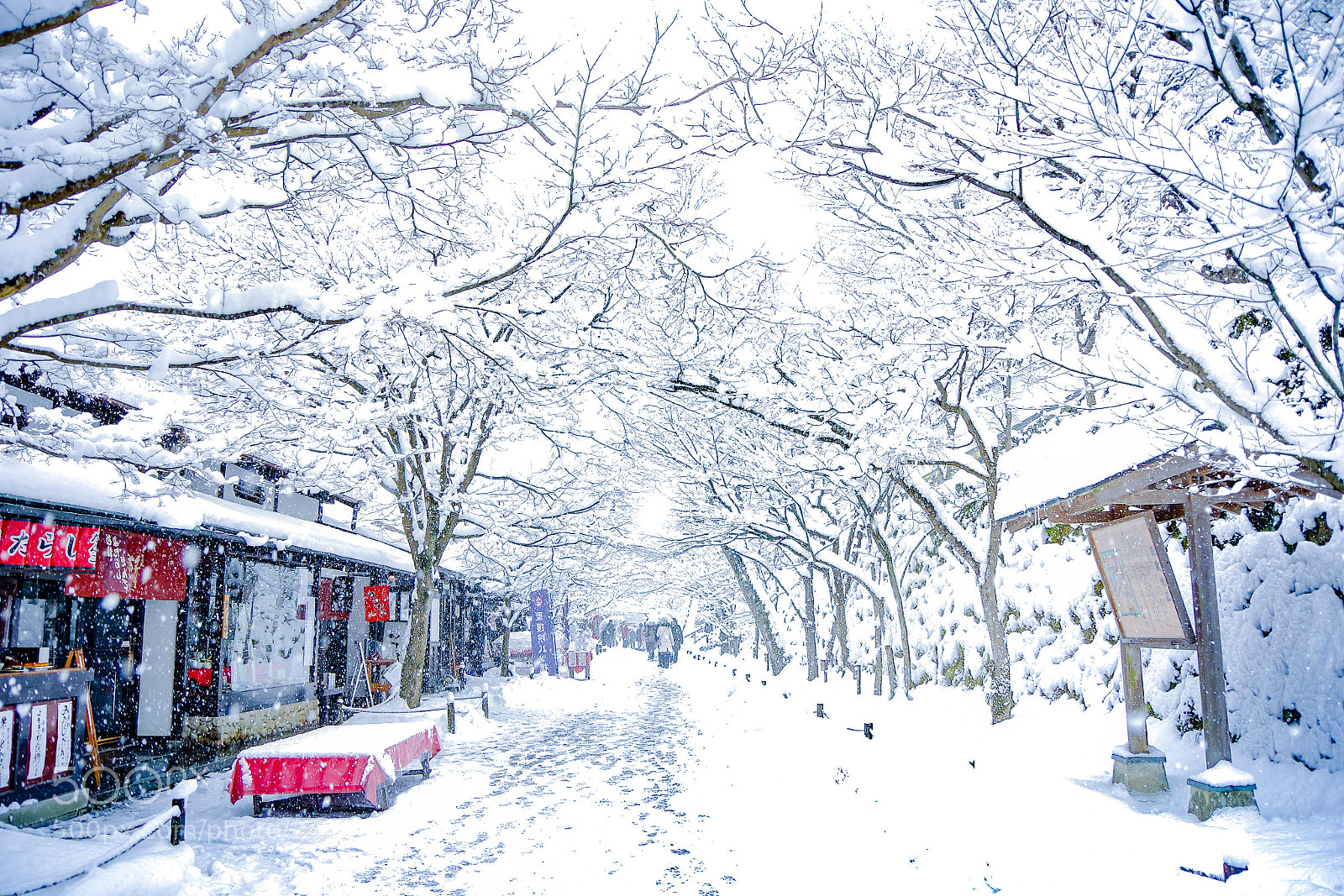 Pentax K-70 sample photo. Snow shower photography