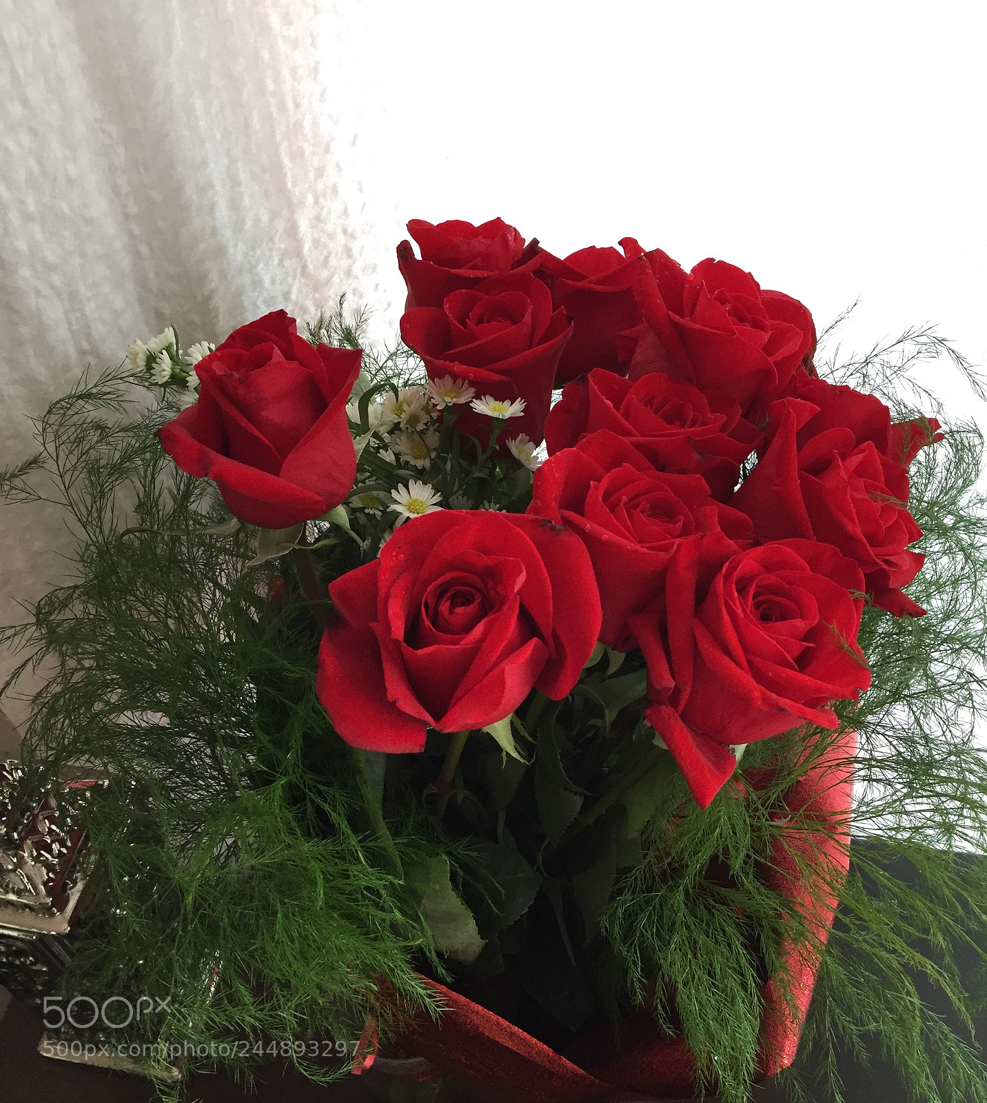 Apple iPhone 6 sample photo. Untitled photography