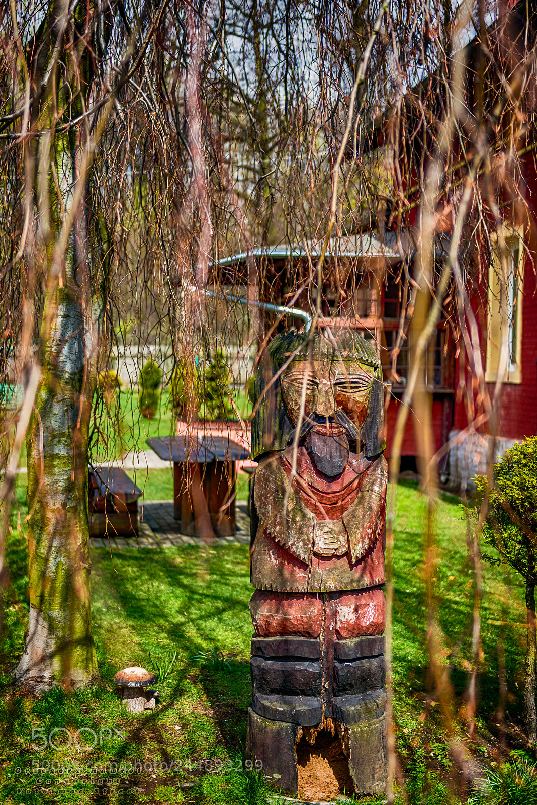 Nikon D800 sample photo. Stra nik miechowickiej ostoi photography