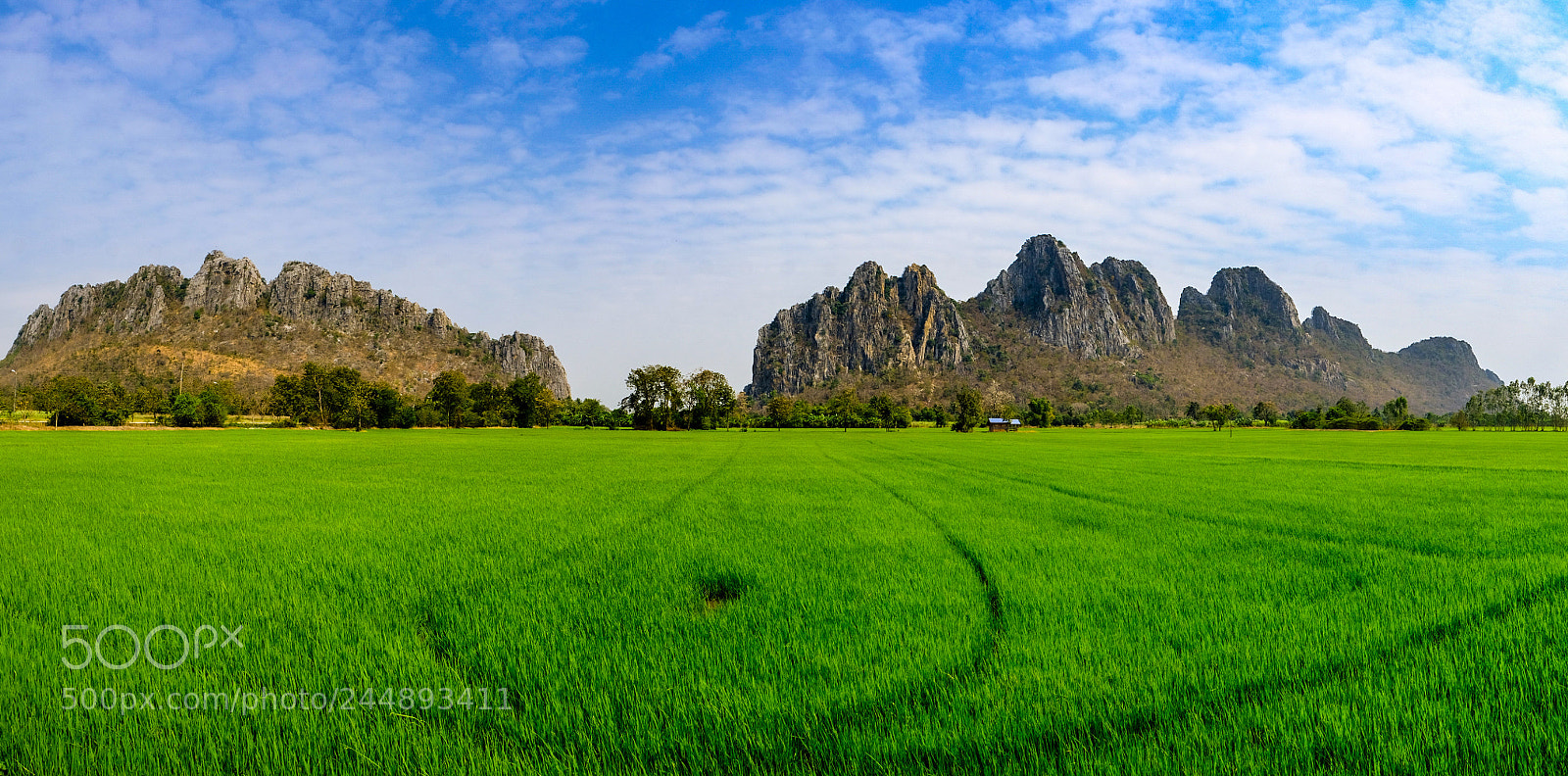 Fujifilm X-T20 sample photo. Nakhonsawan thailand photography
