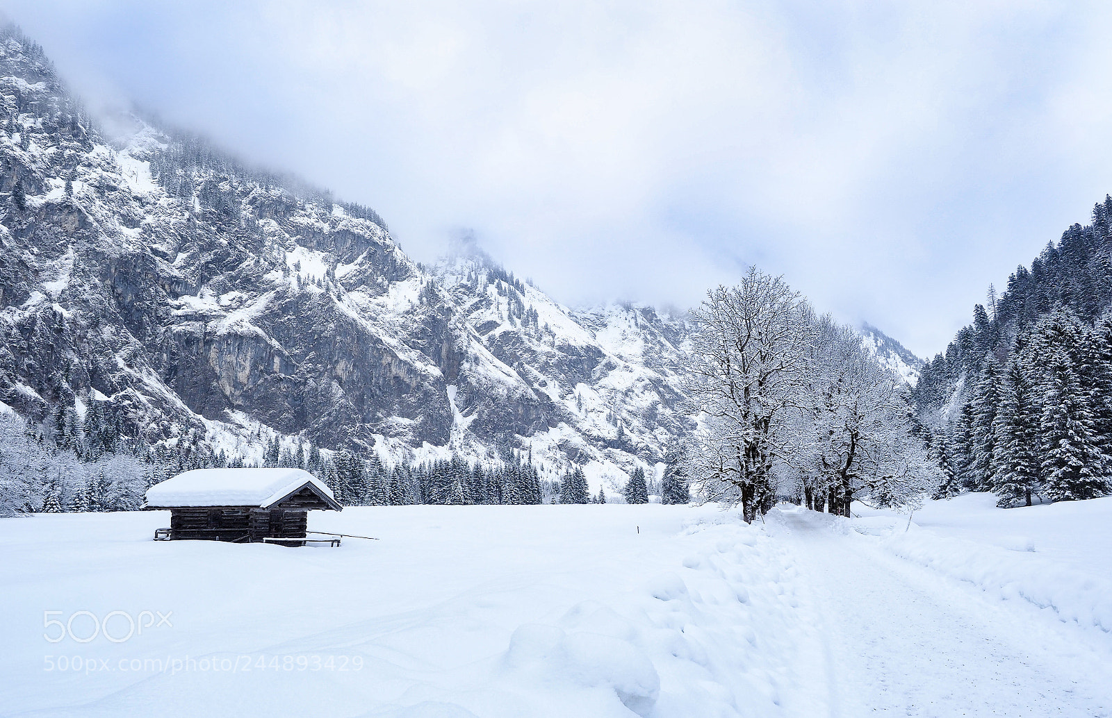 Olympus OM-D E-M1 Mark II sample photo. Winter photography