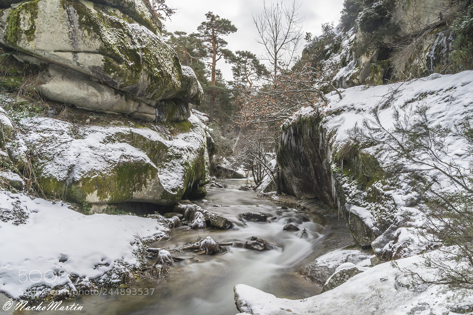 Nikon D3100 sample photo. Invierno photography