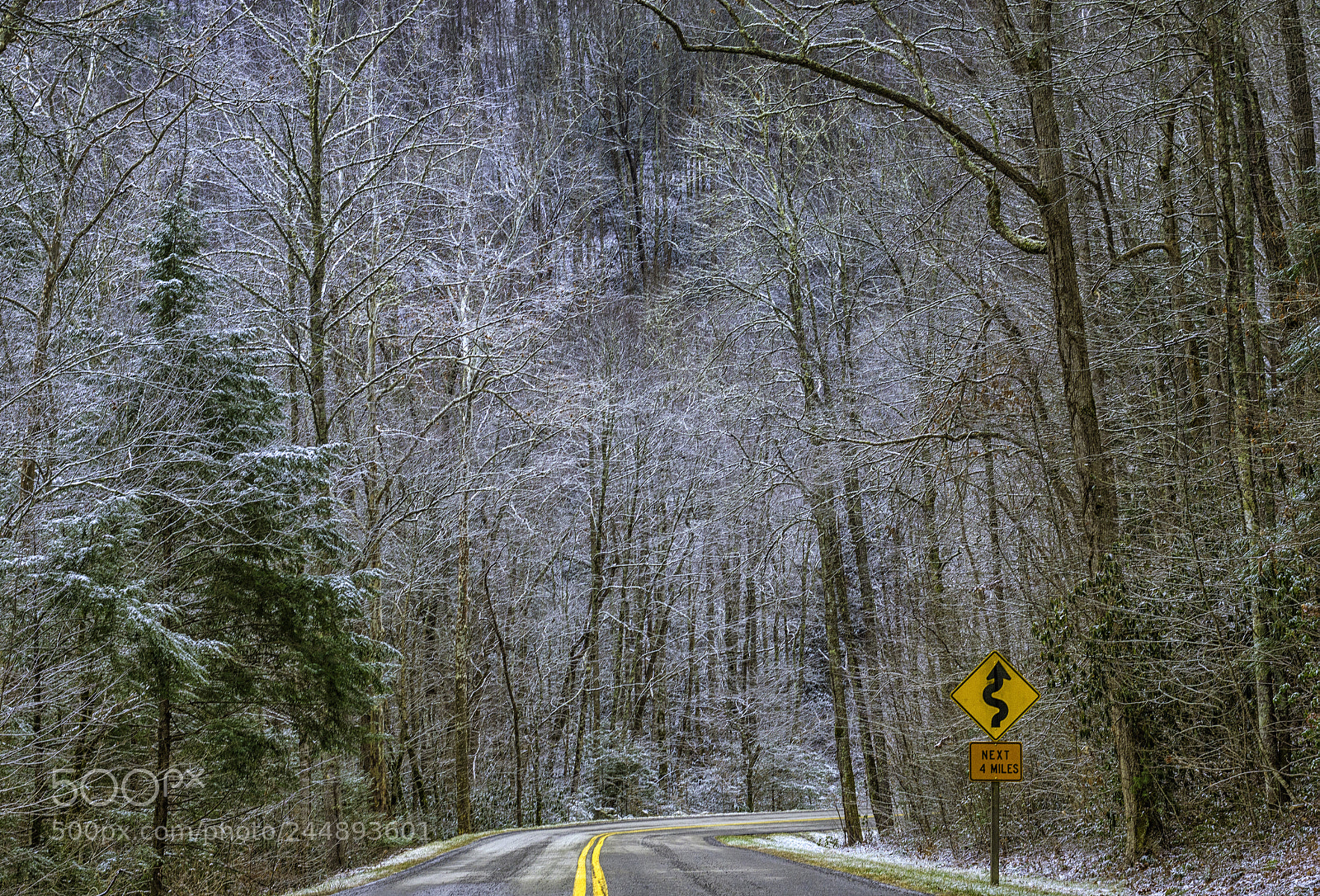 Nikon D7200 sample photo. Smoky mountain curves photography