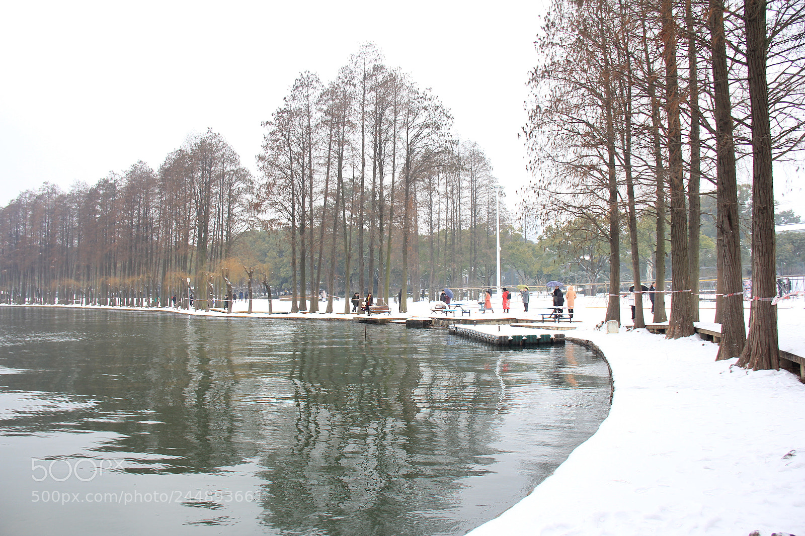 Canon EOS 60D sample photo. Untitled photography