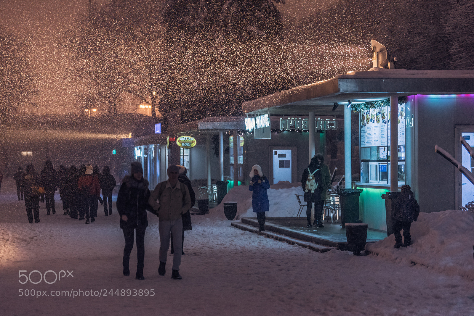 Nikon D810 sample photo. Let it snow photography