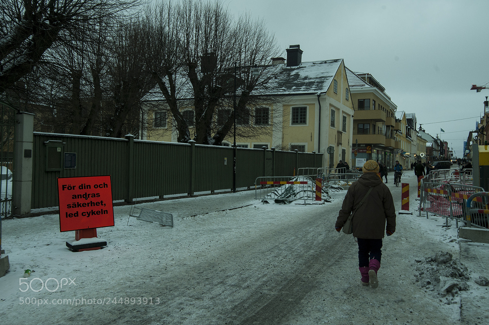 Nikon D700 sample photo. A pedestrian on her photography
