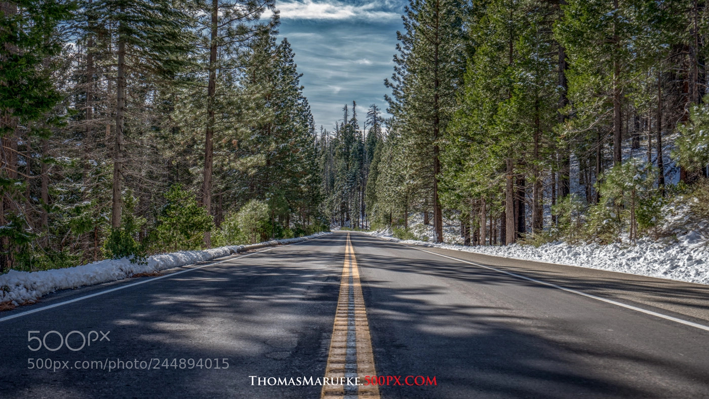 Sony a7R III sample photo. Road 2 yosemite photography