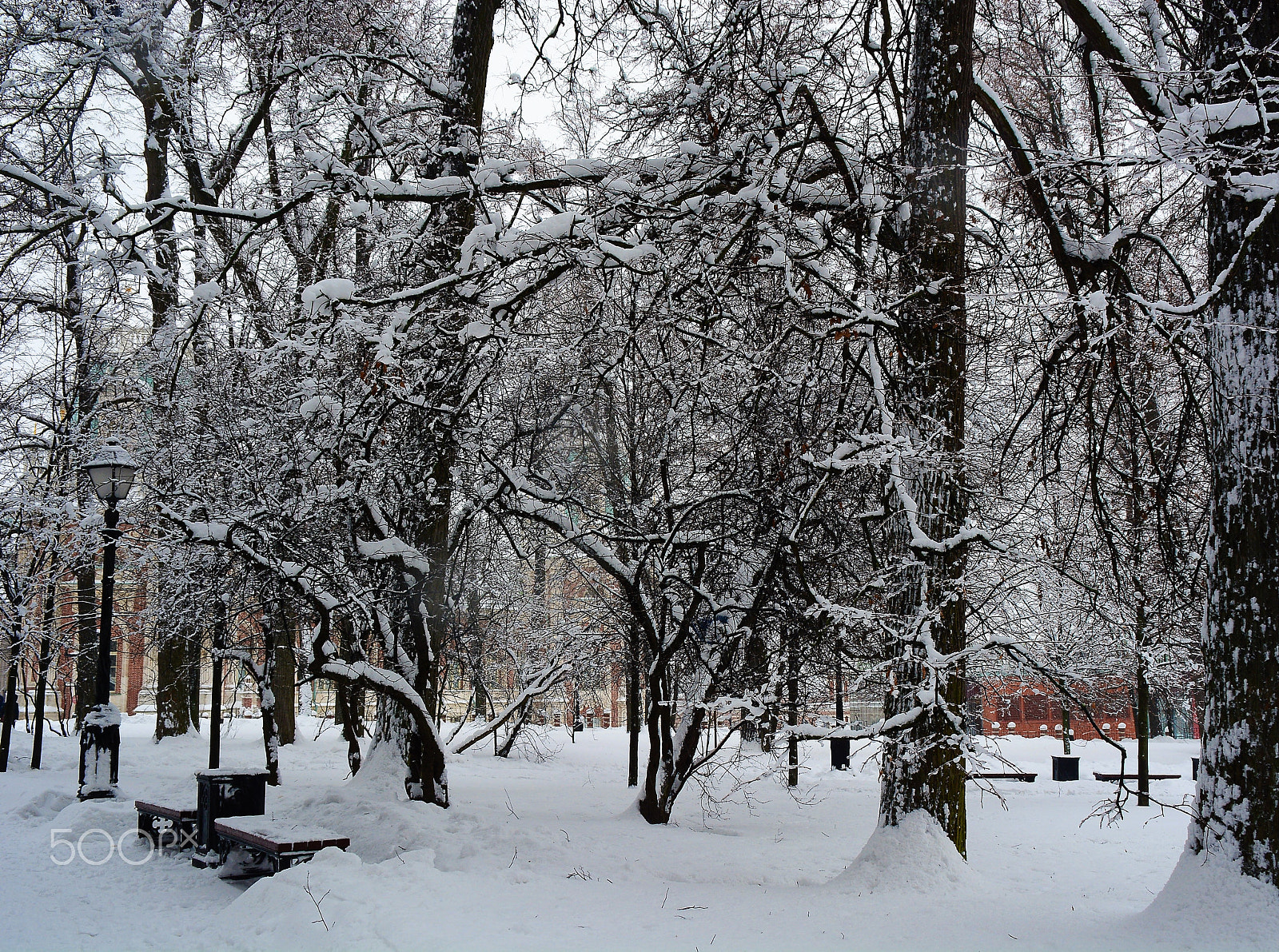 Nikon D7100 sample photo. Winter photography