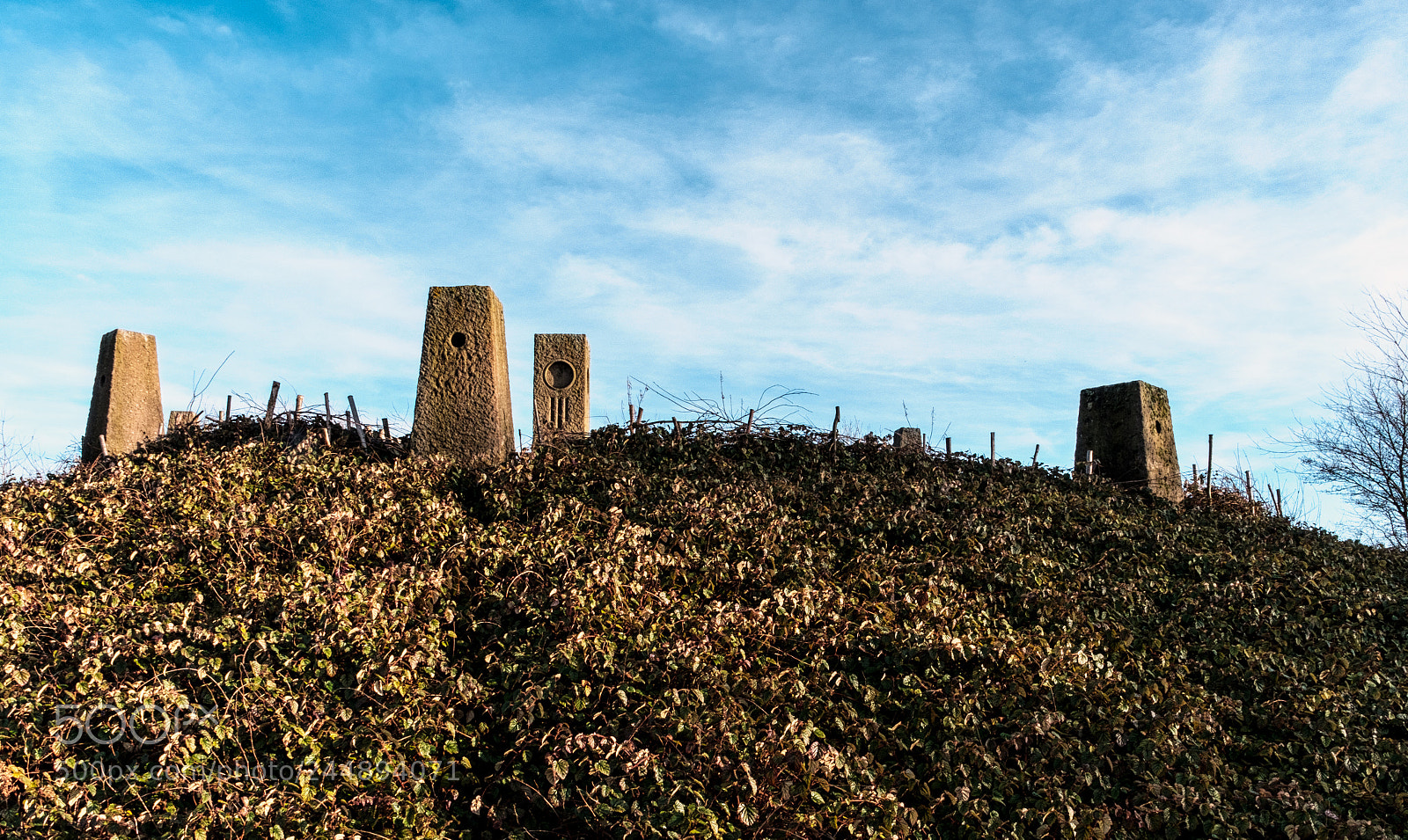 Fujifilm X-T2 sample photo. Carsington water photography