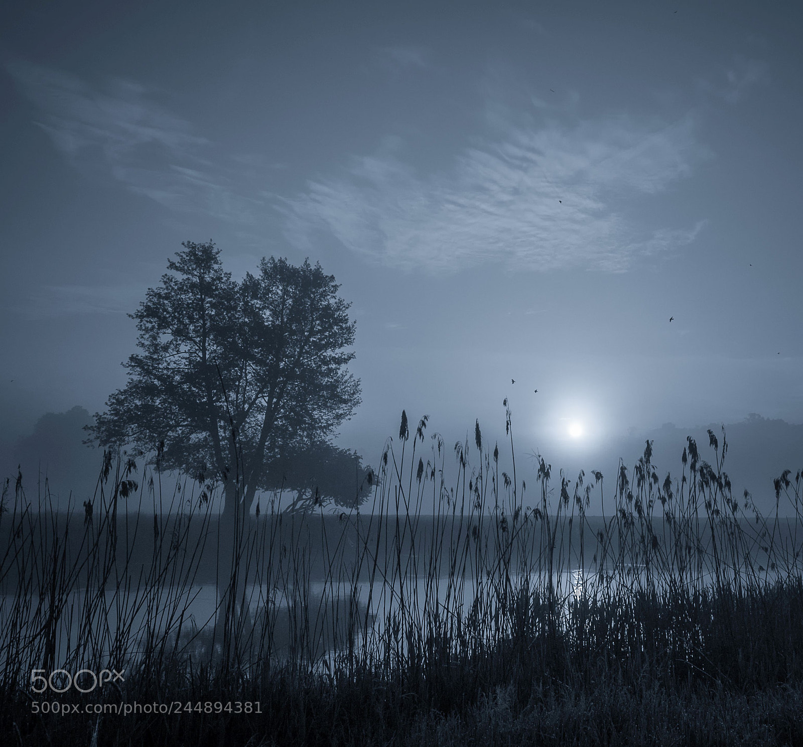 Nikon D3100 sample photo. Dawn photography