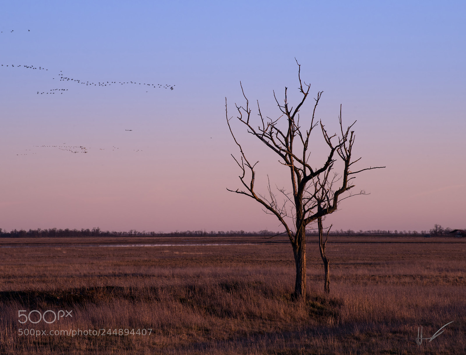 Nikon D800 sample photo. Last lights photography