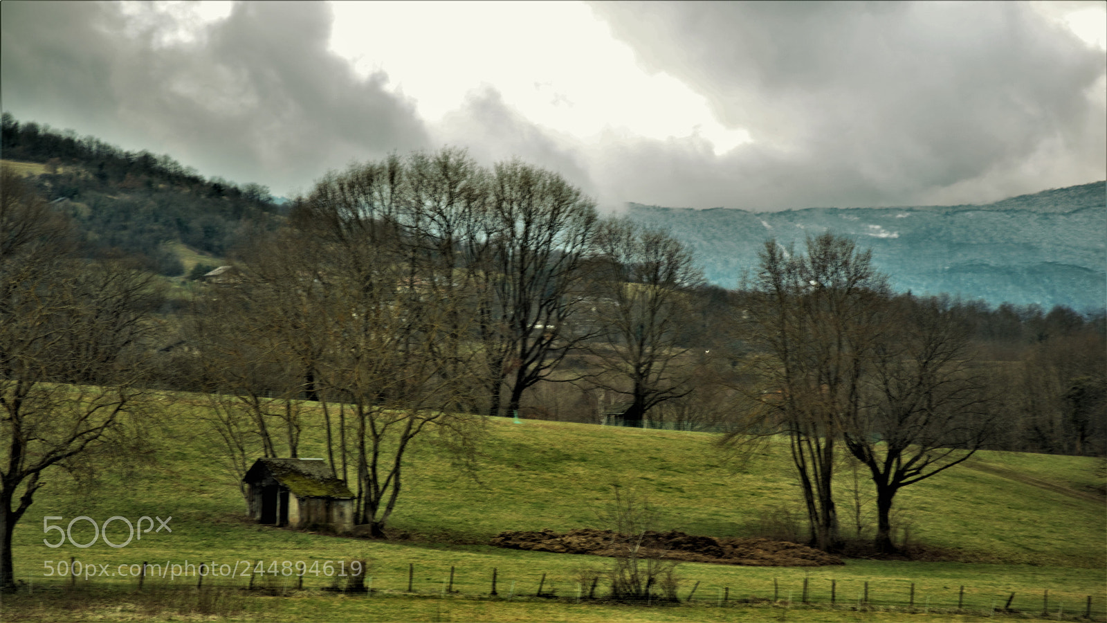 Nikon D3200 sample photo. Untitled photography