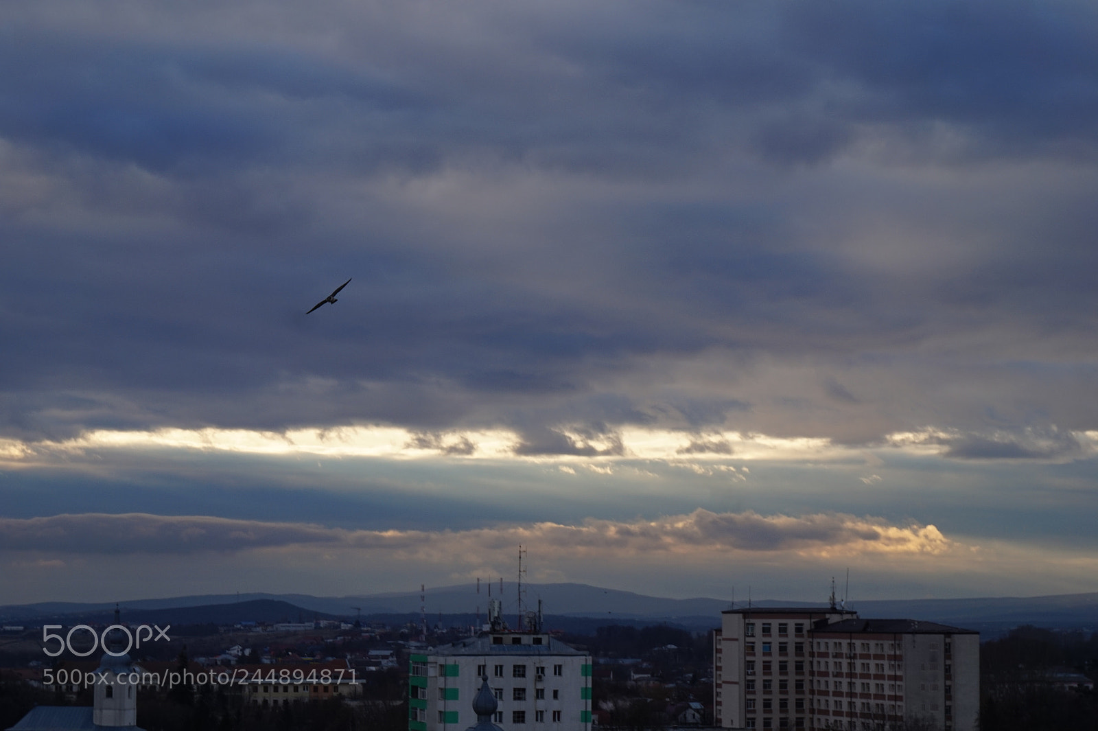 Sony Alpha a5000 (ILCE 5000) sample photo. Untitled photography