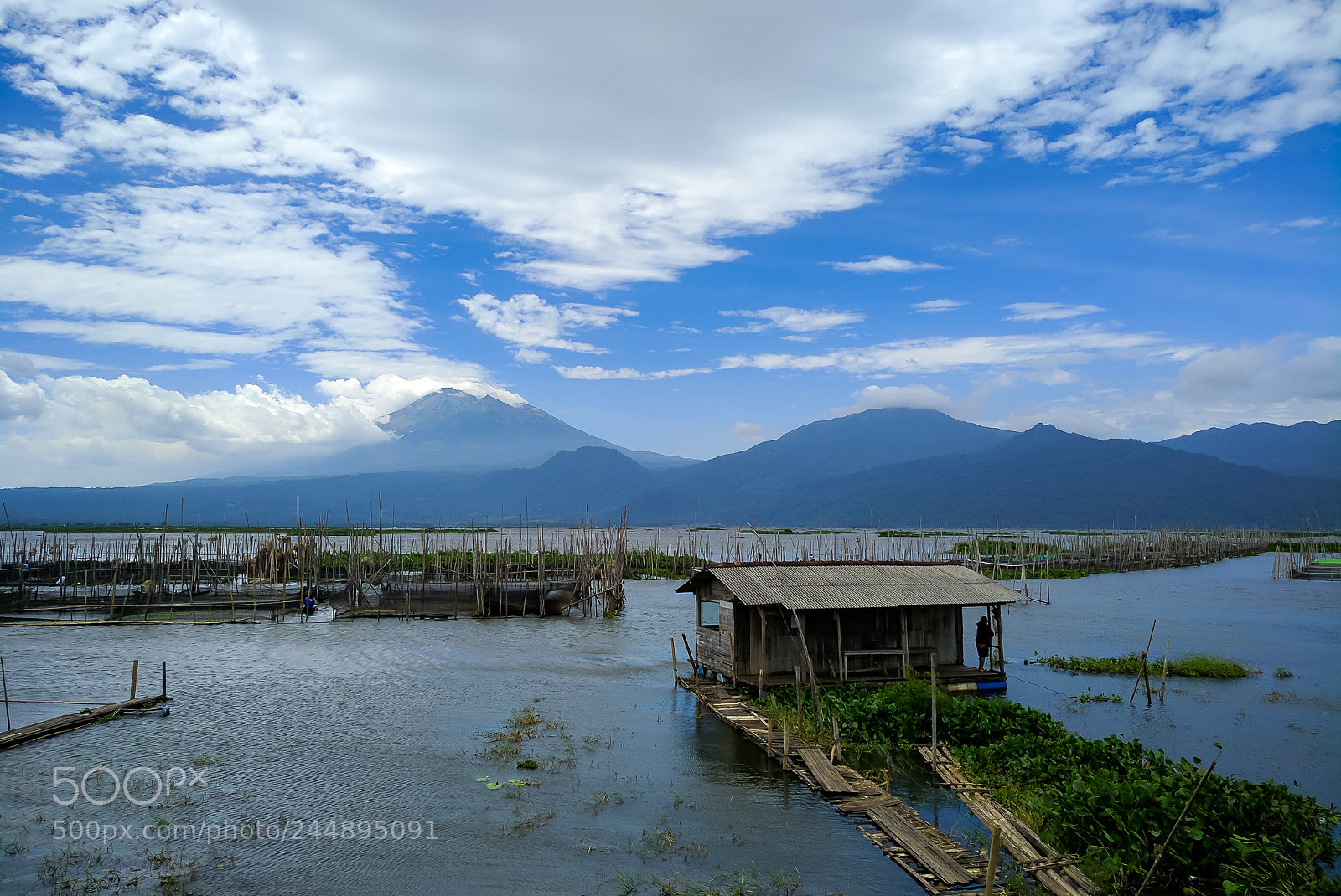 Xiaomi MI MAX 2 sample photo. Rawapening photography
