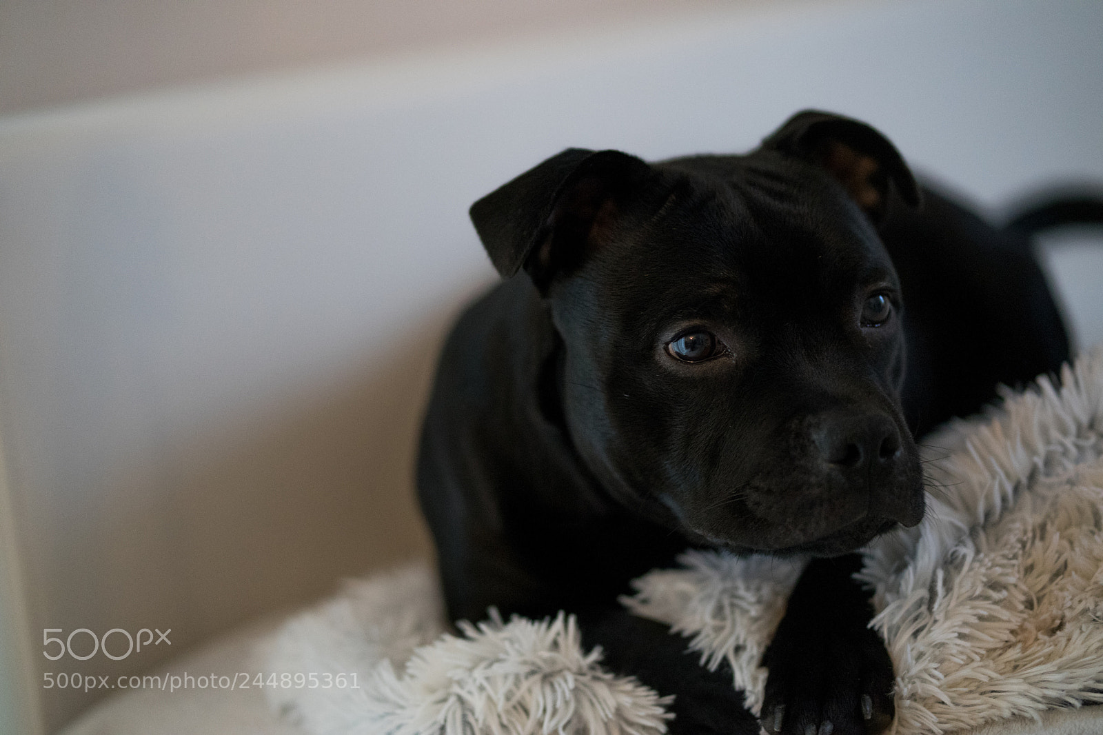 Sony a7 sample photo. 1.jpg photography