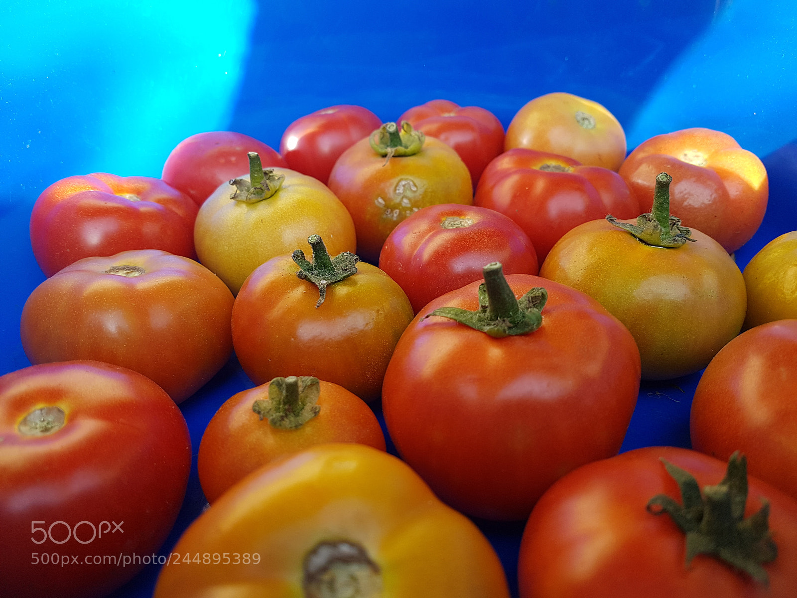 Samsung Galaxy S7 sample photo. Colour photography