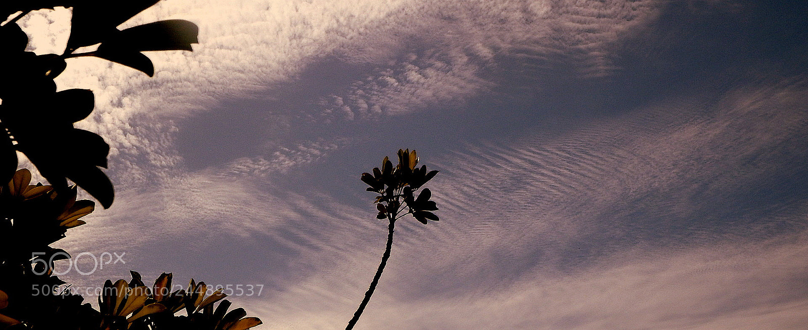 Fujifilm FinePix SL1000 sample photo. Silhouettes .... photography