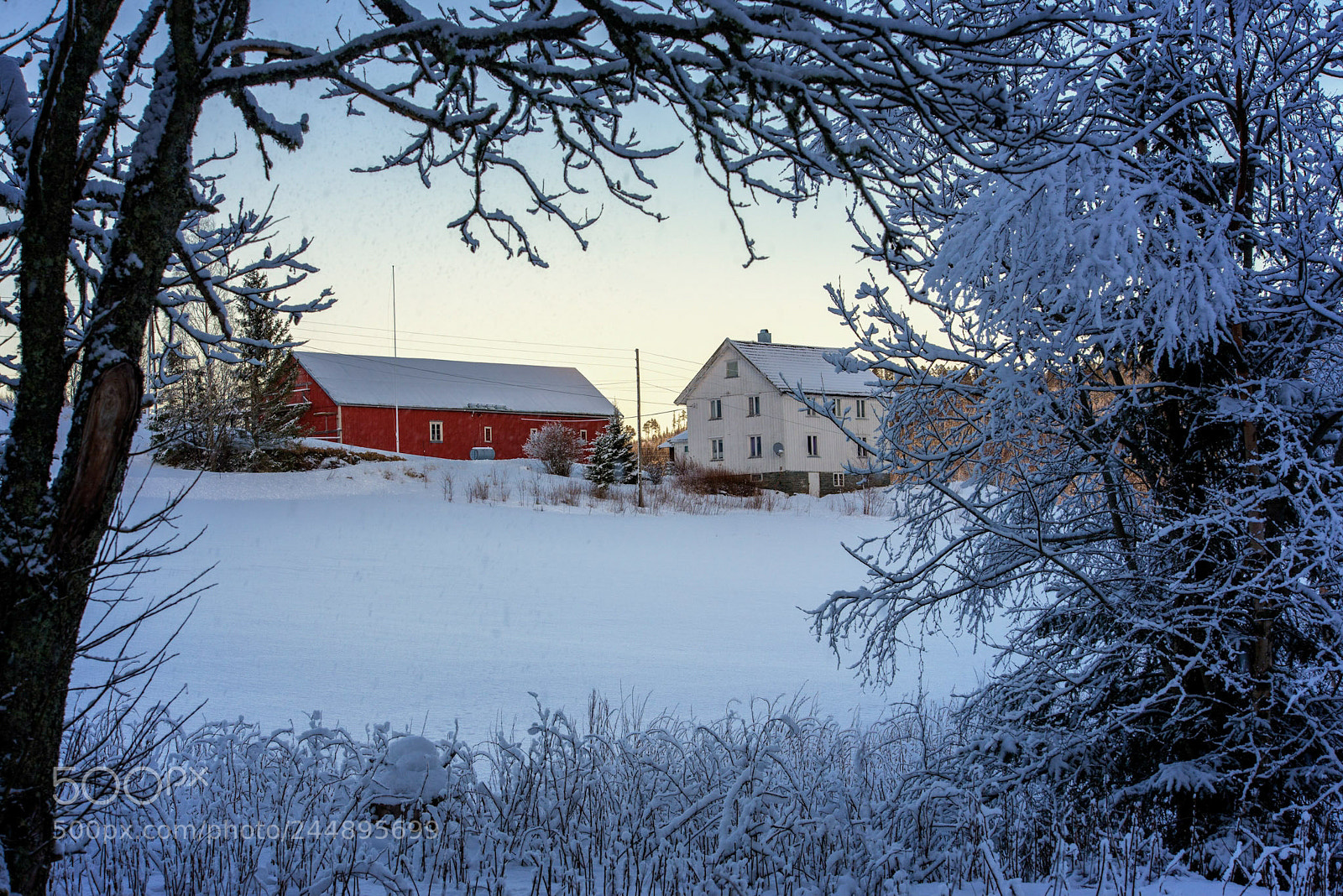Nikon D610 sample photo. Rural winter photography