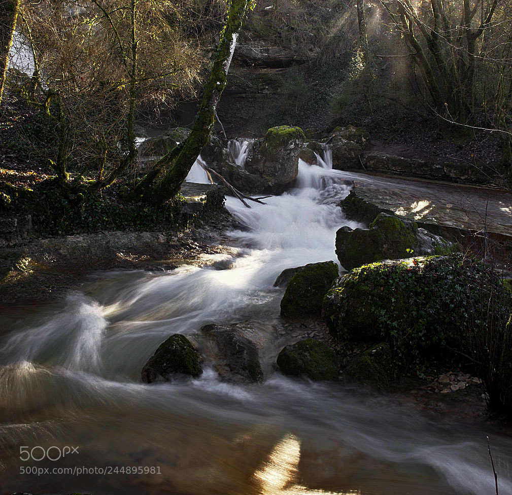 Sony ILCA-77M2 sample photo. Sunlight on the flow photography