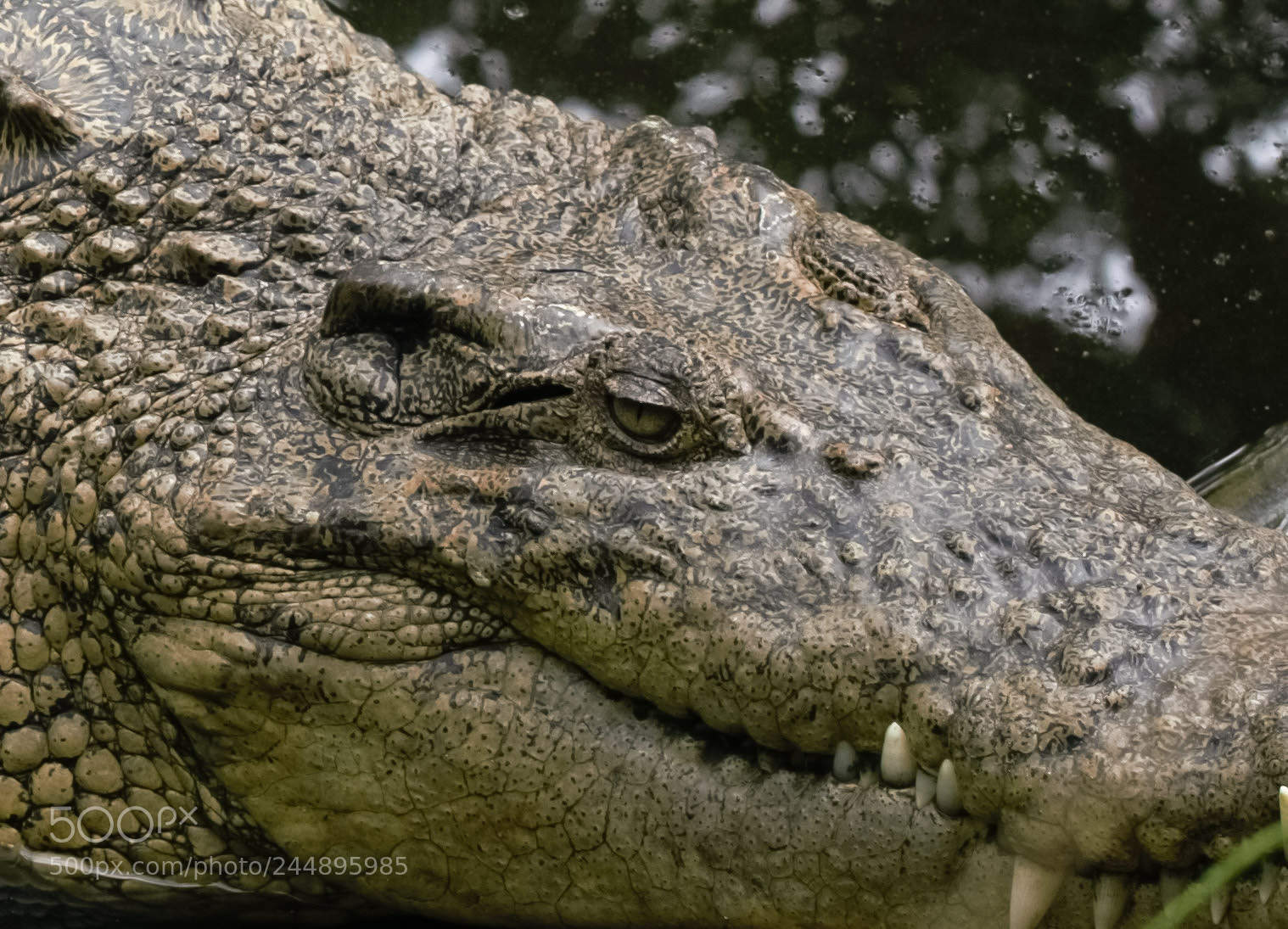 Nikon D810 sample photo. Untitled photography