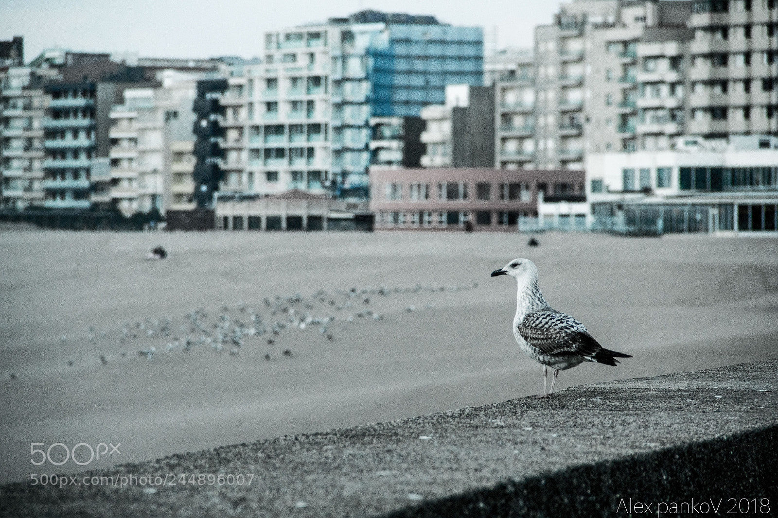 Canon EOS 60D sample photo. Coast photography